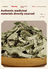 Health Hammer Health Argy Wormwood Hammer